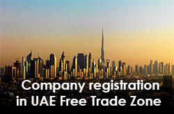 Company registration in Free Trade Zone, UAE. The advantages of an onshore company in FTZ UAE.