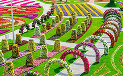 9th place the Miracle Garden in Dubailand